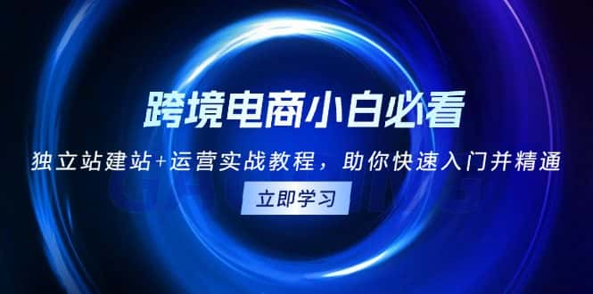 (13503期)跨境电商小白必看!独立站建站+运营实战教程,助你快速入门并精通-优优云创网