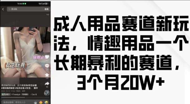 成人用品赛道新玩法，情趣用品一个长期暴利的赛道，3个月收益20个-优优云创网