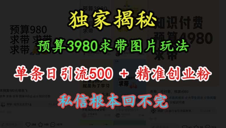 预算3980求带 图片玩法,单条日引流500+精准创业粉,私信根本回不完-优优云创网