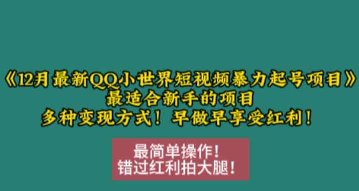 12月最新QQ小世界短视频暴力起号项目,最适合新手的项目,多种变现方式-优优云创网