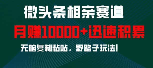 微头条相亲赛道，迅速积累，无脑复制粘贴，野路子玩法，月入1w-优优云创网