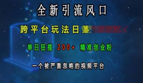 全新引流风口,跨平台玩法日入上k,单日狂揽200+精准创业粉,一个被严重忽略的视频平台-优优云创网