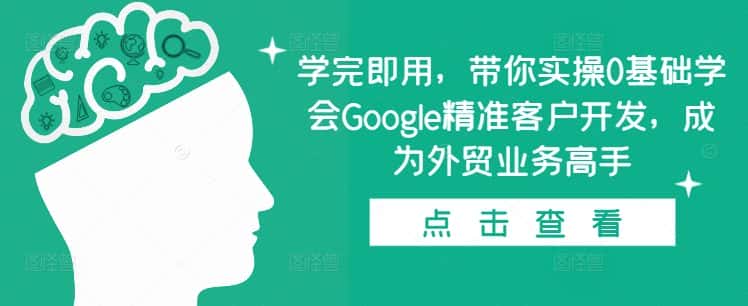 学完即用,带你实操0基础学会Google精准客户开发,成为外贸业务高手-优优云创网