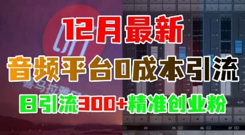 12月最新:音频平台0成本引流,日引流300+精准创业粉-优优云创网