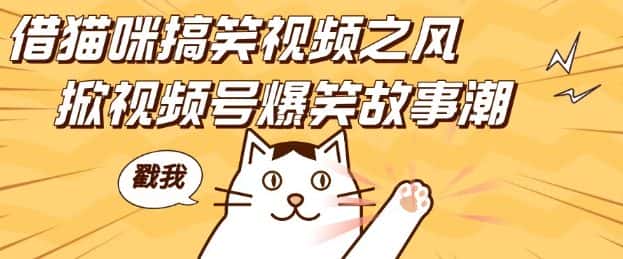 借猫咪搞笑视频之风，掀视频号爆笑故事潮，轻松日入四位数，无门槛快速入门!-优优云创网