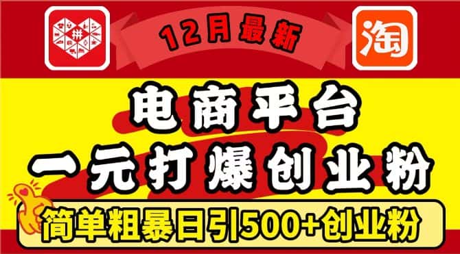 12月最新:电商平台1元打爆创业粉,简单粗暴日引500+精准创业粉,轻松月入过W-优优云创网