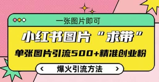 小红书图片‘求带’爆火引流法,单张图片引流500+精准创业粉-优优云创网