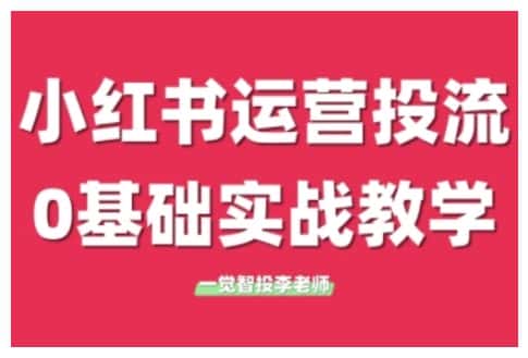 小红书运营投流,小红书广告投放从0到1的实战课,学完即可开始投放-优优云创网