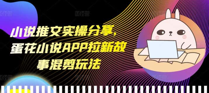 小说推文实操分享，蛋花小说APP拉新故事混剪玩法-优优云创网