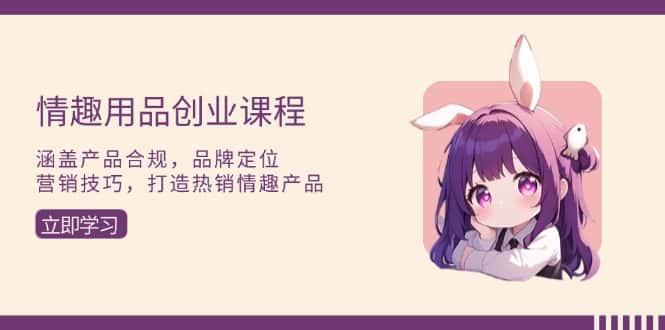 （13682期）情趣用品创业课程：涵盖产品合规，品牌定位，营销技巧，打造热销情趣产品-优优云创网