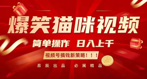爆笑猫咪视频:简单操作,日入过K,视频号搞钱新策略-优优云创网