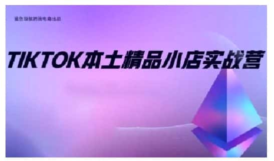 TikTok本土精品小店出海实战营,从入门到高阶,不止0-1!-优优云创网