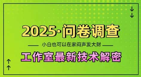 2025问卷调查最新工作室技术解密:一个人在家也可以闷声发大财,小白一天2张,可矩阵放大-优优云创网