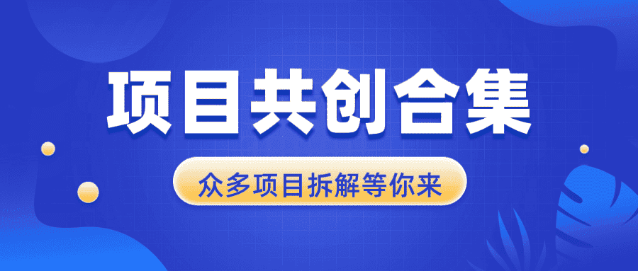 （13778期）项目共创合集，从0-1全过程拆解，让你迅速找到适合自已的项目-优优云创网
