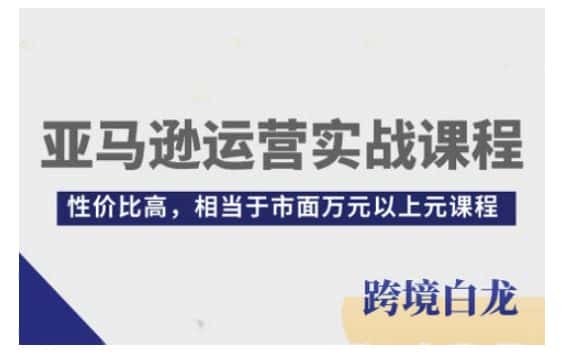 亚马逊运营实战课程,亚马逊从入门到精通,性价比高,相当于市面万元以上元课程-优优云创网