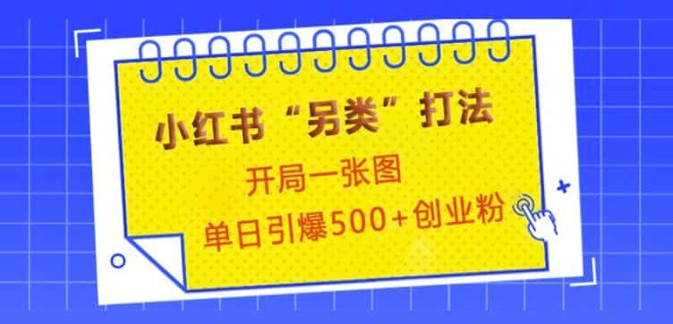 小红书“另类”打法，开局一张图，单日引爆500+精准创业粉-优优云创网