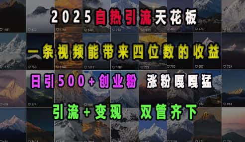 2025自热引流天花板,一条视频能带来四位数的收益,引流+变现双管齐下,日引500+创业粉,涨粉嘎嘎猛-优优云创网