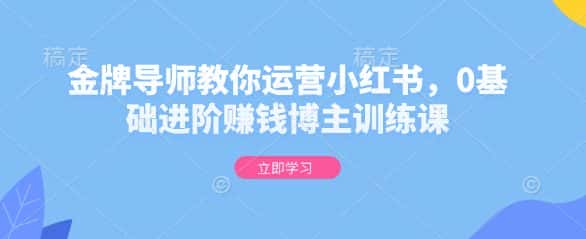 金牌导师教你运营小红书,0基础进阶赚钱博主训练课-优优云创网
