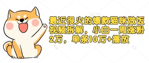 最近很火的爆款猫咪做饭视频拆解，小白一周涨粉2万，单条10万+播放(附保姆级教程)-优优云创网