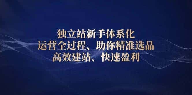 独立站新手体系化 运营全过程，助你精准选品、高效建站、快速盈利-优优云创网