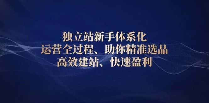 (13914期)独立站新手体系化 运营全过程,助你精准选品、高效建站、快速盈利-优优云创网