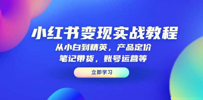 (13923期)小红书变现实战教程:从小白到精英,产品定价,笔记带货,账号运营等-优优云创网