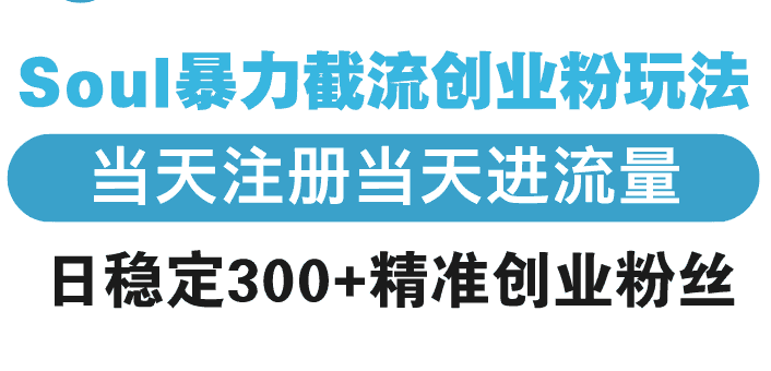 (13935期)Soul暴力截流创业粉玩法,当天注册当天进流量,日稳定300+精准创业粉丝-优优云创网
