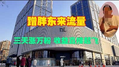 蹭胖东来流量，三天涨万粉，收益直接起飞-优优云创网
