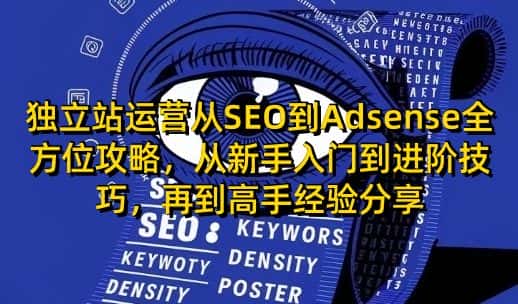 独立站运营从SEO到Adsense全方位攻略,从新手入门到进阶技巧,再到高手经验分享-优优云创网