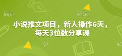 小说推文项目,新人操作6天,每天3位数分享课-优优云创网