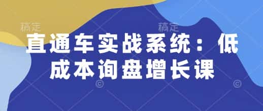 直通车实战系统:低成本询盘增长课,让个人通过技能实现升职加薪,让企业低成本获客,订单源源不断-优优云创网