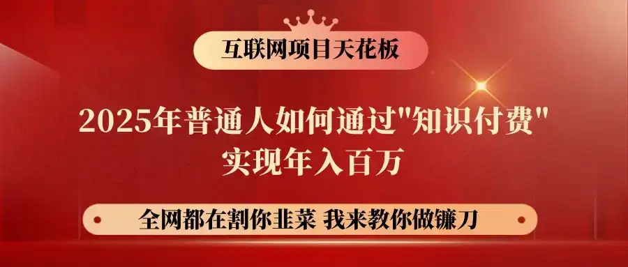 网创项目终点站-镰刀训练营超级IP合伙人，25年普通人如何通过“知识付费”年入百万-优优云创网