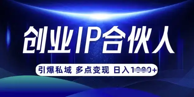 云帆·创业ip合伙人打造3.0，从0到1教你做网创，实现月入过W-优优云创网