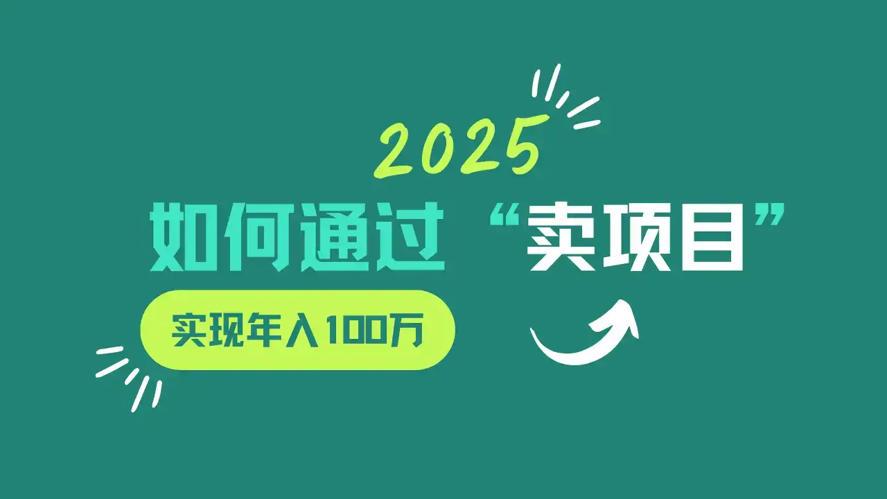 2025年如何通过“卖项目”实现年入100w-优优云创网