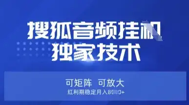 【搜狐音频挂G】独家技术，可矩阵可放大，红利期稳定月入8k【揭秘】-优优云创网