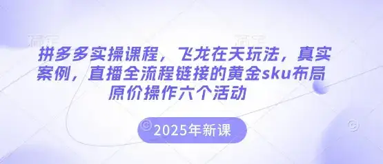 拼多多实操课程，飞龙在天玩法，真实案例，直播全流程链接的黄金sku布局原价操作六个活动-优优云创网