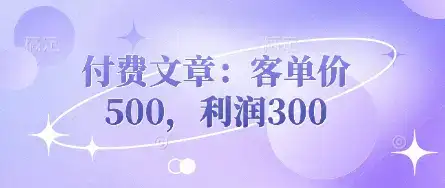 付费文章：客单价500，利润300-优优云创网