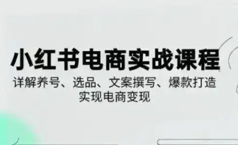 小红书从0-1实操课(2023-2025)，详解养号、选品、文案撰写、爆款打造实现电商变现-优优云创网