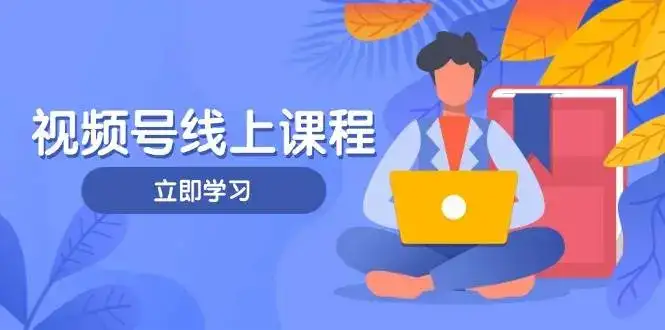视频号实战课程,轻IP打造与运营技巧,掌握核心方法与策略-优优云创网