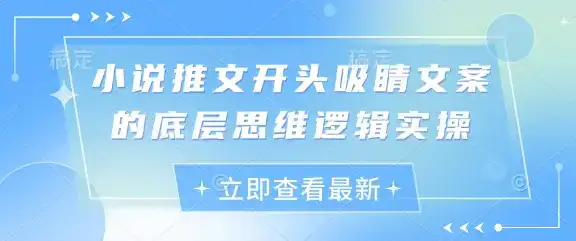 小说推文开头吸睛文案的底层思维逻辑实操-优优云创网