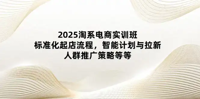 2025淘系电商实训班：标准化起店流程，智能计划与拉新，人群推广策略等等-优优云创网
