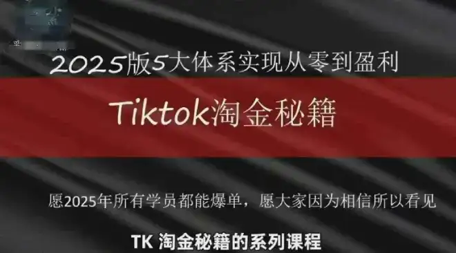 TikTok跨境2025淘金秘籍，​2025TikTok从0到盈利变现-优优云创网