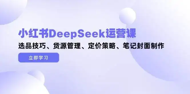 小红书DeepSeek运营课,选品技巧、货源管理、定价策略、笔记封面制作-优优云创网