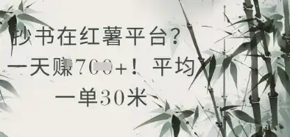抄书在小红薯平台？平均一单30米，一天收益几张！-优优云创网