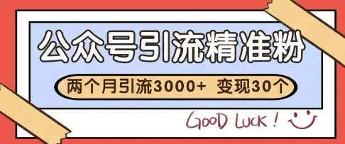 公众号精准粉引流玩法，2个月3000+精准粉，变现30个W【揭秘】-优优云创网