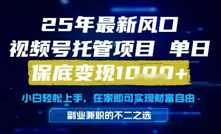 25年最新风口，视频号托管项目，单日保底变现1k+，手把手教学【揭秘】-优优云创网