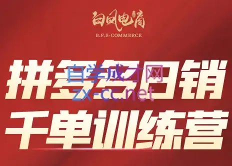 白凤电商·拼多多日销千单训练营(更新3月)-优优云创网