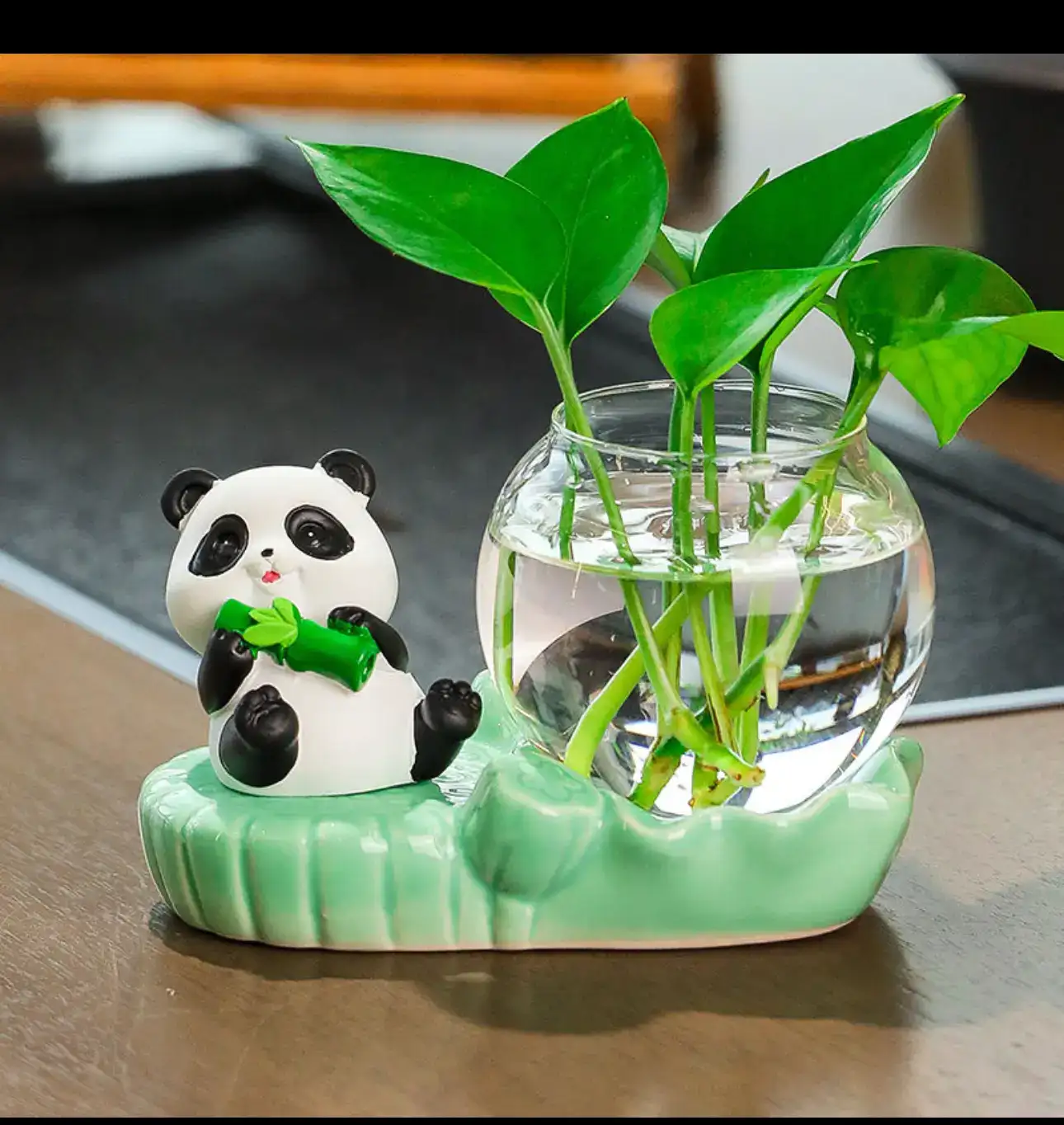 用户封面