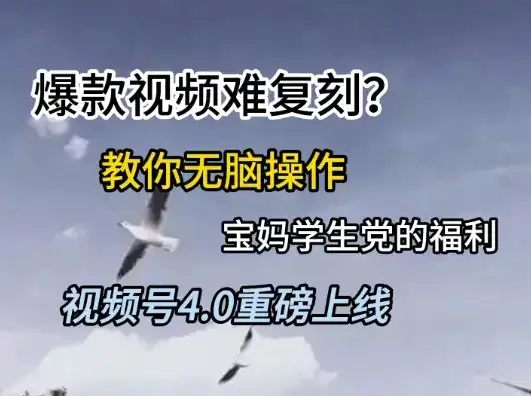 视频号4.0重磅上线，爆款视频难复刻？教你无脑操作宝妈学生党的福利【揭秘】-优优云创网