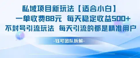 私域项目新玩法【适合小白】 一单收费88.每天稳定收益几张-优优云创网